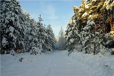 足球大亨新作《Copa City》公布 管理大型赛事后勤